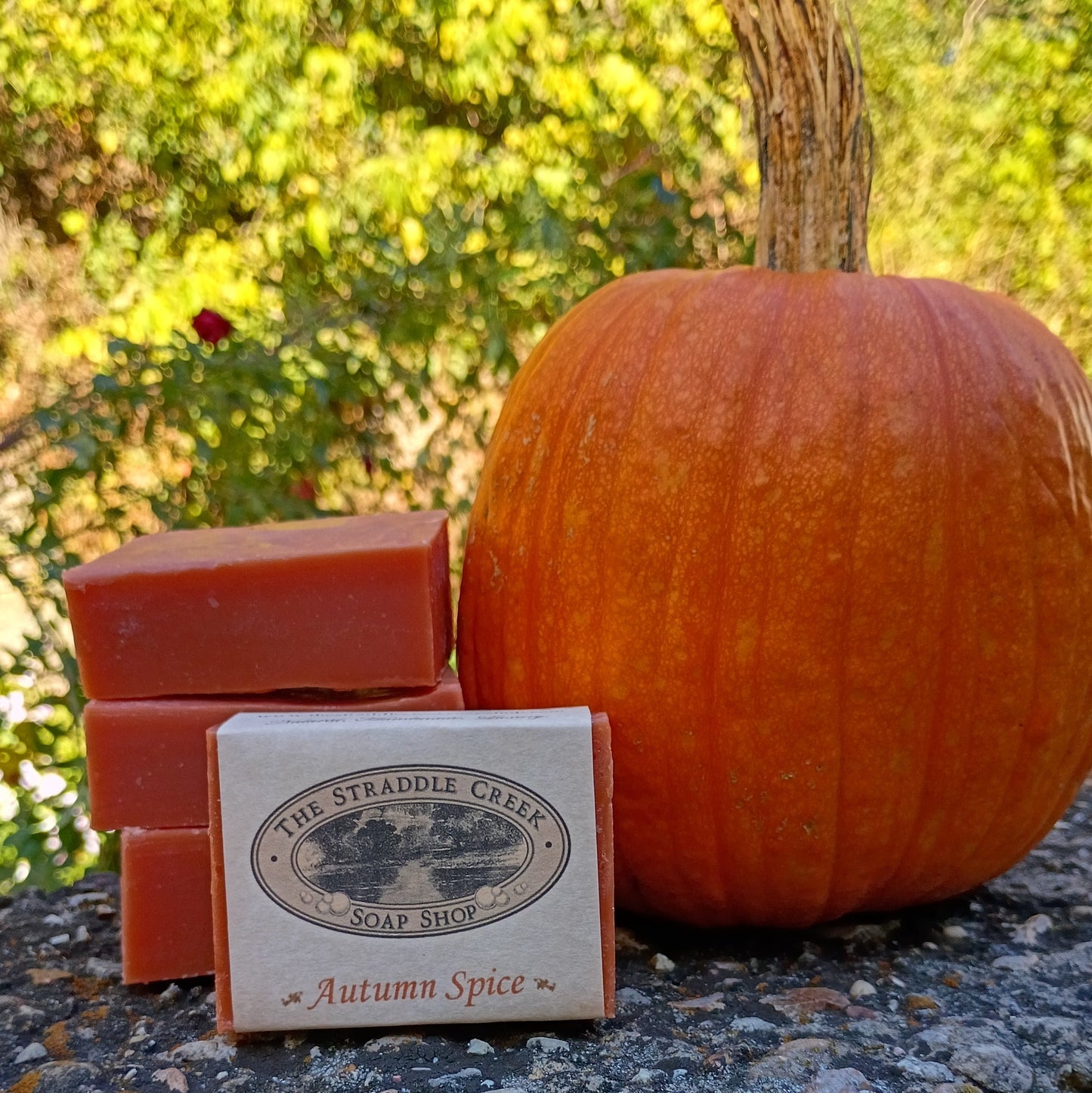 Three bars of soap labeled 'Autumn Spice' from The Straddie Creek Soap Shop next to a pumpkin outdoors.