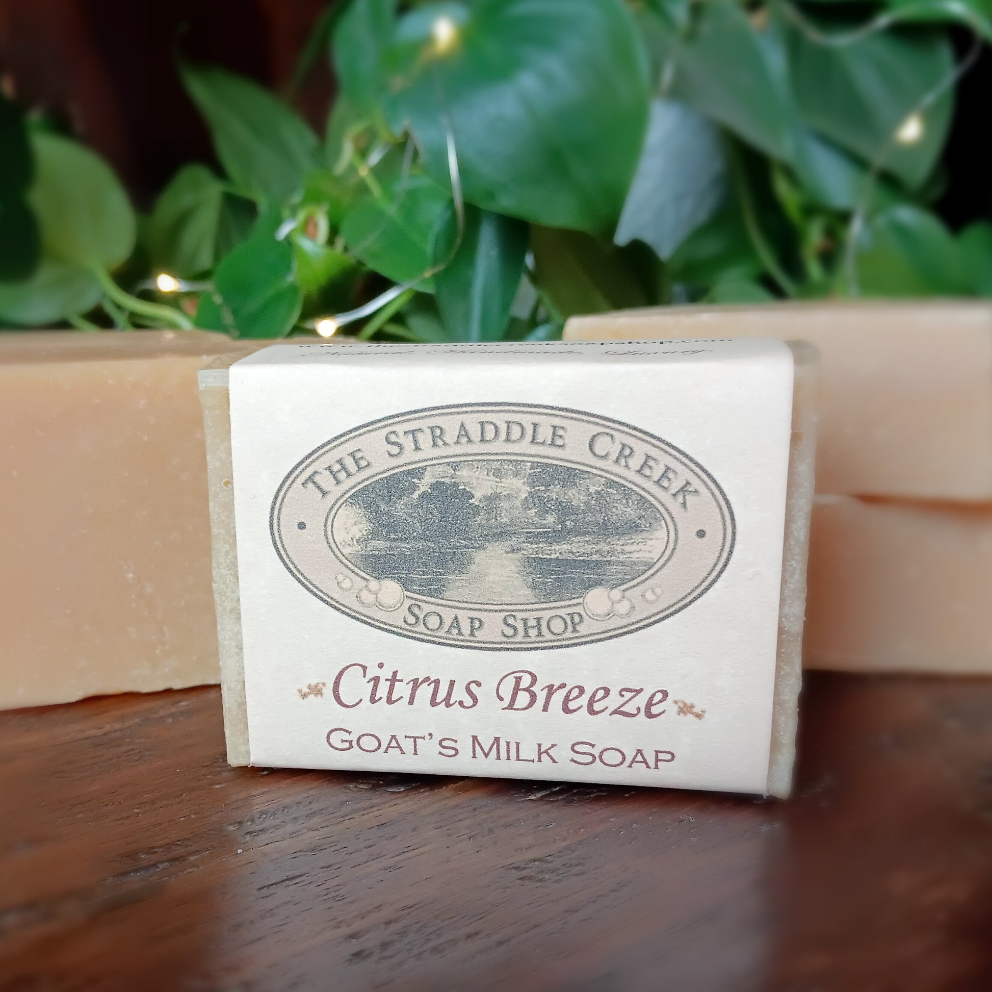 Bar of Citrus Breeze goat's milk soap from The Straddle Creek Soap Shop on a wooden surface with greenery in the background.
