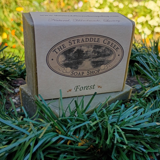 Bar of Forest Soap with evergreen garland around it