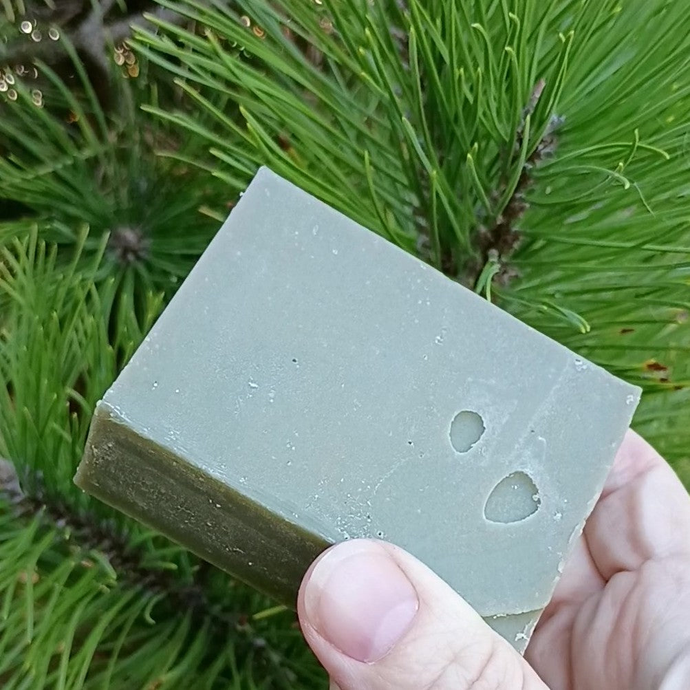 Bar of soap held in front of green foliage
