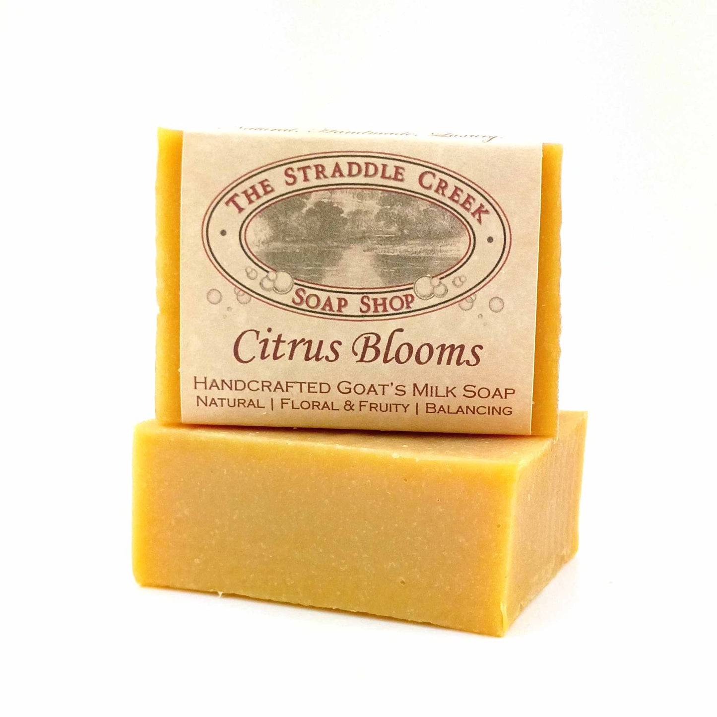 Citrus Blooms goat's milk soap labeled view showing the wrapped bar