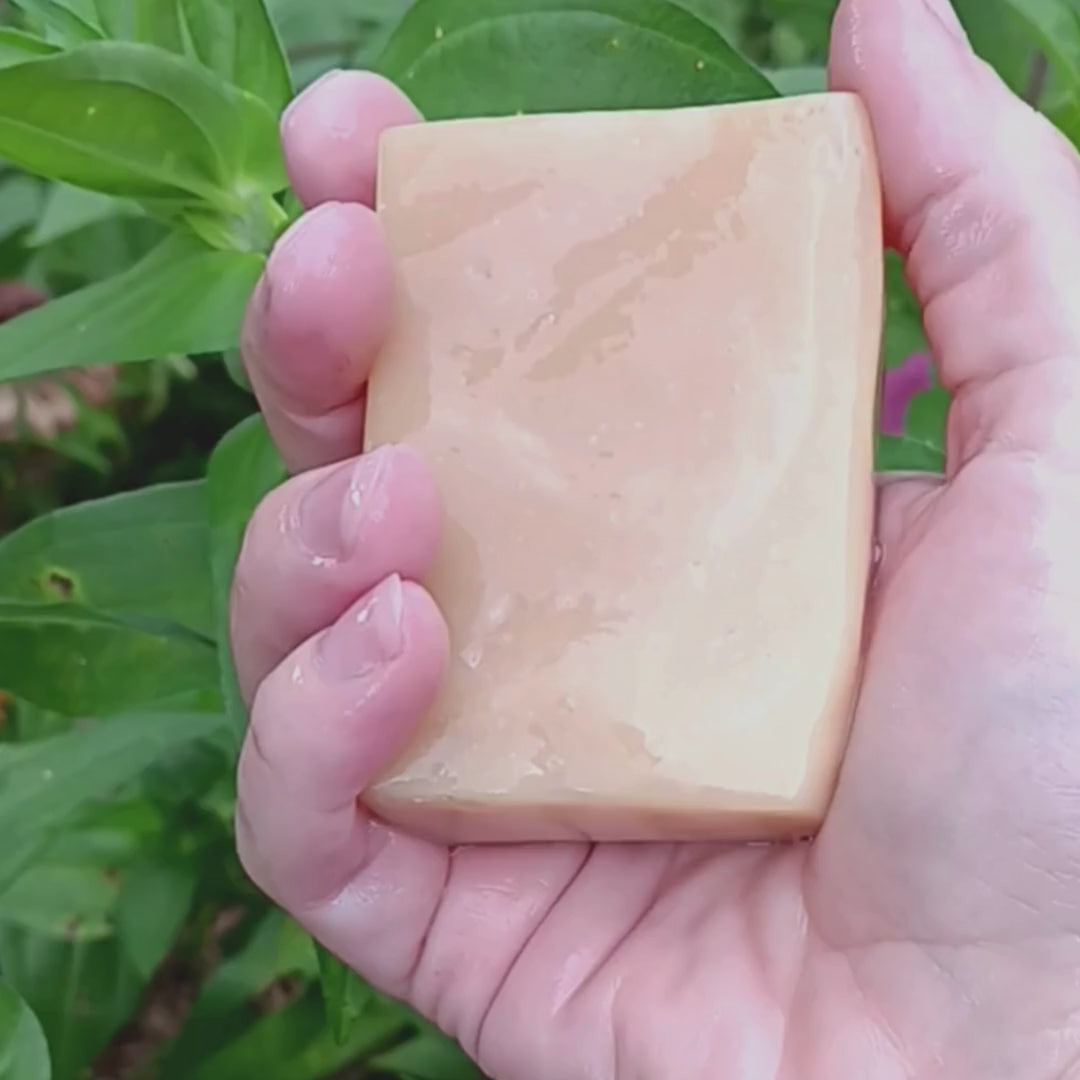 Washing hands with Straddle Creek goat's milk soap