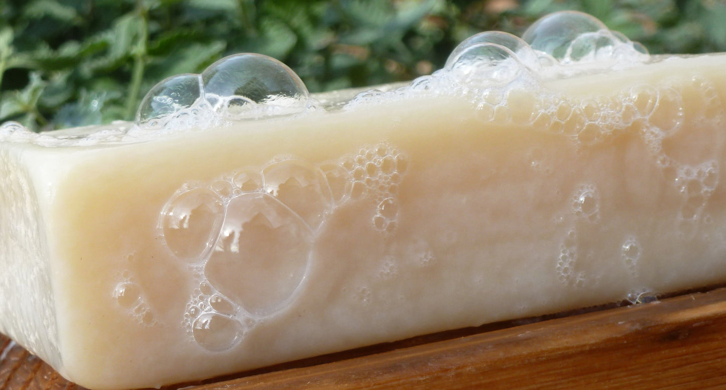 Bar of natural cream soap with lather on a soap dish